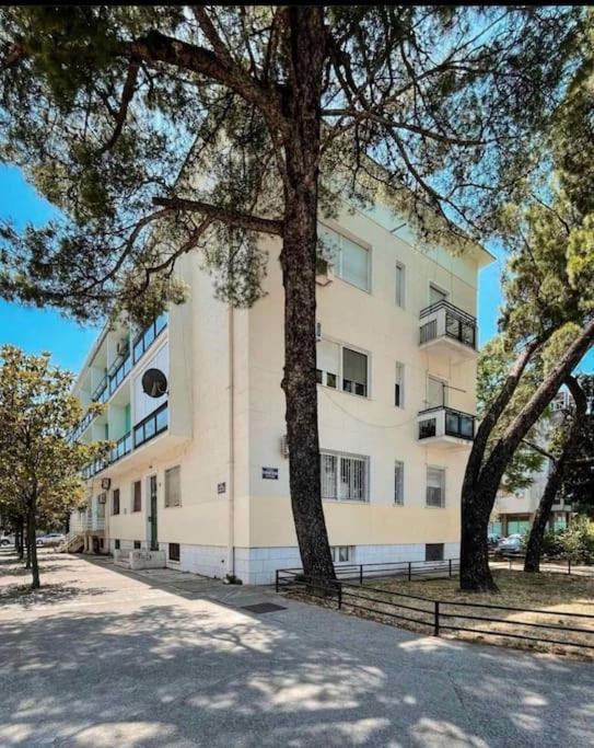 Apartment Music-Center, In The Center Of Podgorica Luaran gambar